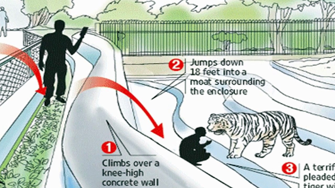 KAYDEDİLMİŞ Dehşet Verici 5 Hayvan Saldırısı