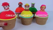 PATRULHA CANINA PAW PATROL LEARN COLORS PLAYDOH ICE CREAM SURPRISE EGGS LEARNING COLORS CH