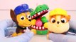 Défi dentiste Jeu des jeux enfants patrouille patte jouets vidéos avec Nickelode de surprise de crocodile