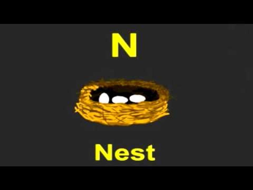 Learn Alphabets - Letter N