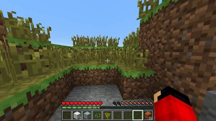 Survival #1 - Szalona Pikachu, DIAXY! w/PikachuPL