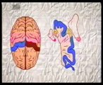 Plasticidad cerebral: Pies como manos (Bryan, tatuando con los pies)