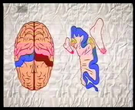 Plasticidad cerebral: Pies como manos (Bryan, tatuando con los pies)