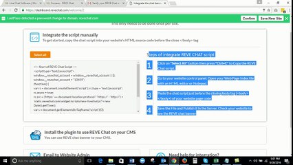 How to integrate REVE Chat with your website