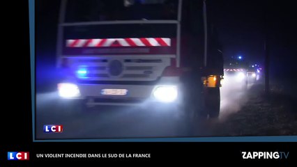 Bouches-du-Rhône : Un violent incendie ravage 500 hectares de forêt (Vidéo)