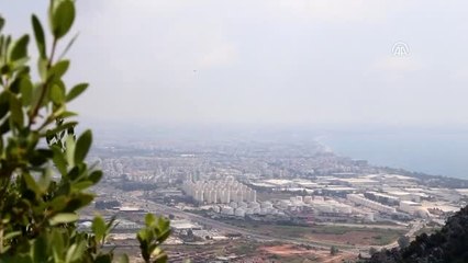 Yoğun Nem Bunalttı (2)