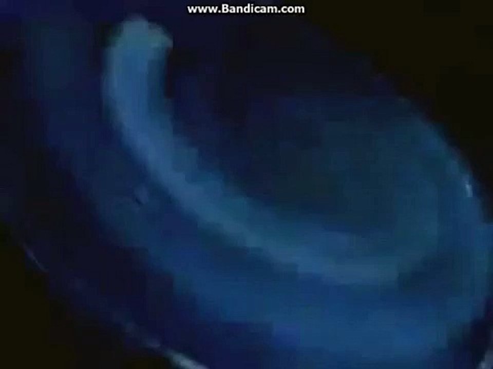 Multimedia Entertainment (1994 in low tone and slower)