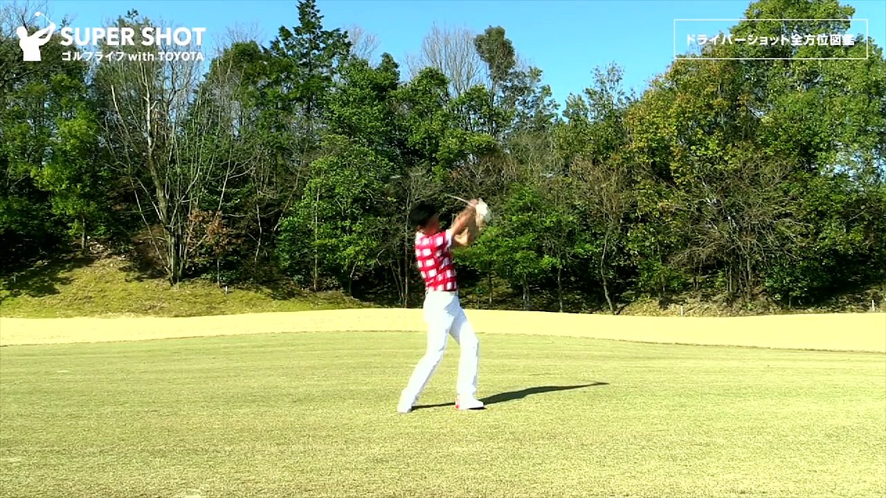 #1『ドライバーショット 全方位図鑑』武市悦宏のドライバー飛距離アップの極意【ゴルフライフwithTOYOTA】
