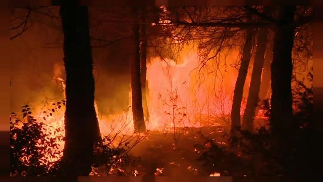 Emergenza incendi dai Balcani al Portogallo; fiamme a Capalbio