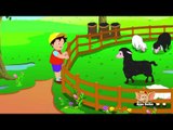 Baa Baa Black Sheep in Hindi