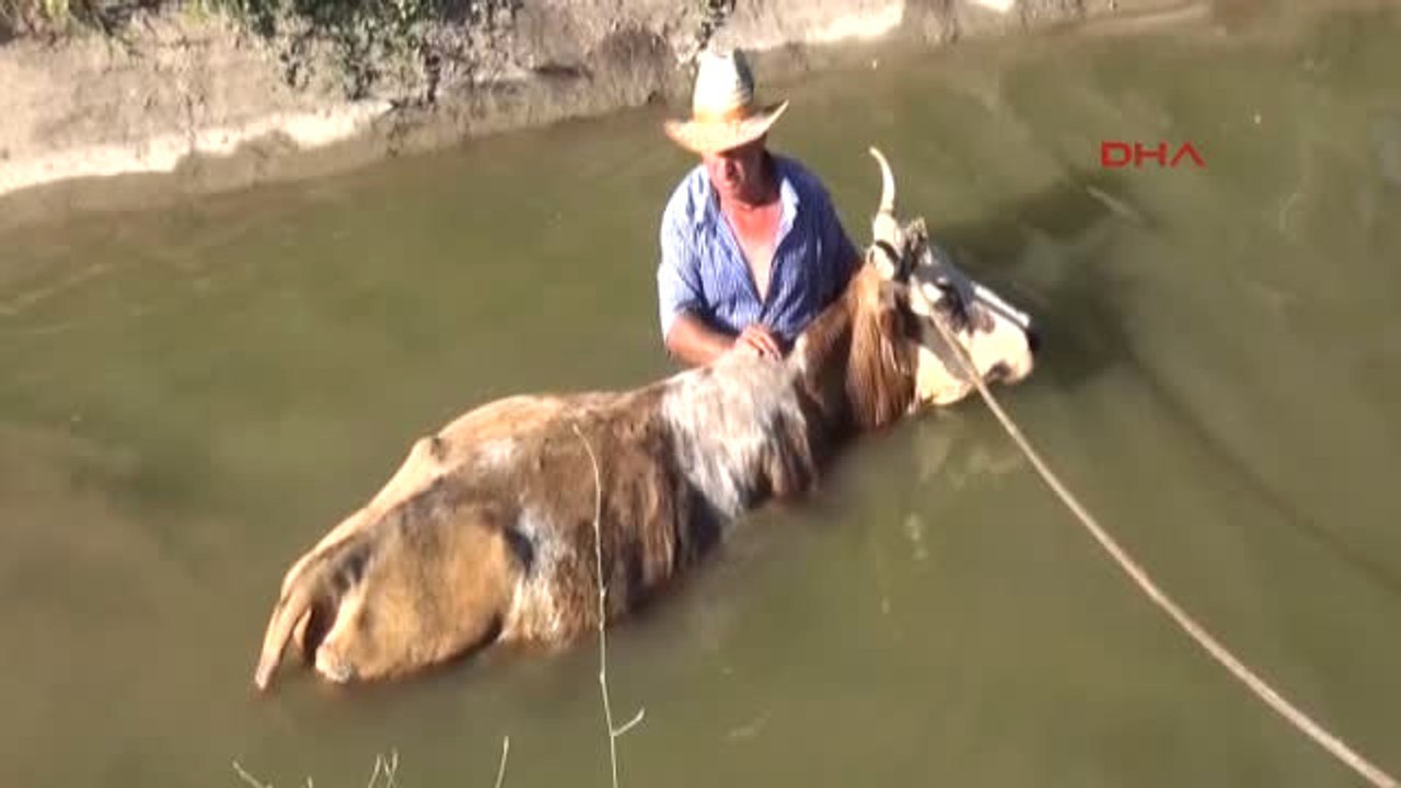 Erzincan Su Kanalına Düşen Sarı Kız'ın Başından Ayrılmadı