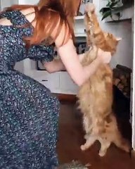 Big Cat Hugging a Pretty Woman