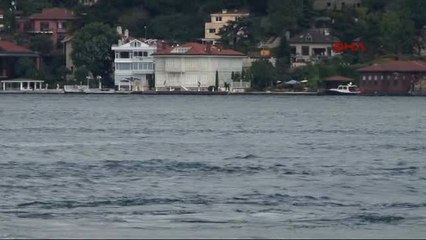 Boğaz'da Yunus Gösterisi