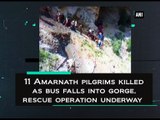 11 Amarnath pilgrims killed as bus falls into gorge, rescue operation underway