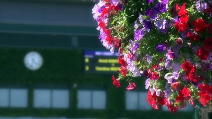 2017 ウィンブルドンテニス エンディング