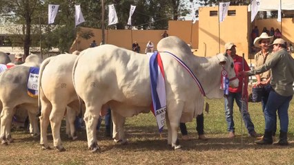 Expo Feria 2017, la mayor muestra agroganadera de Paraguay