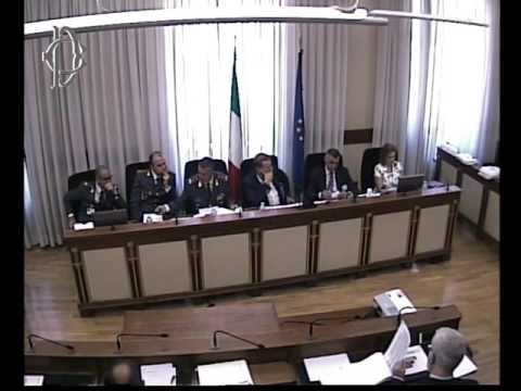 Roma - Fenomeno migratorio, audizione generale Screpanti (05.07.17)