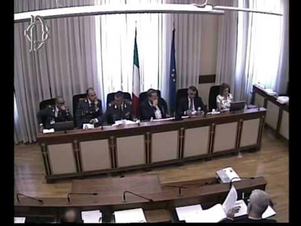 Roma - Fenomeno migratorio, audizione generale Screpanti (05.07.17)