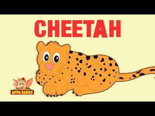 Animal Sounds - Cheetah
