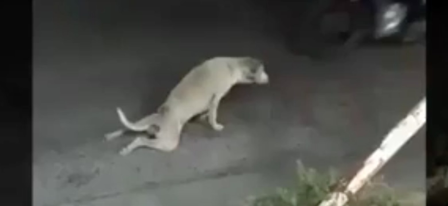 Best actor of the year