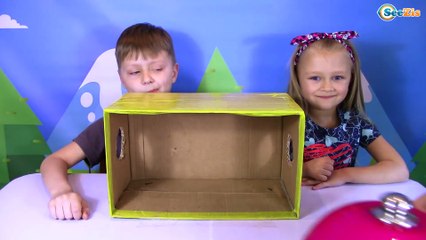 Челлендж Что в Коробке? Кто положил свинные ноги и носки | Challenge - What is in the Box?