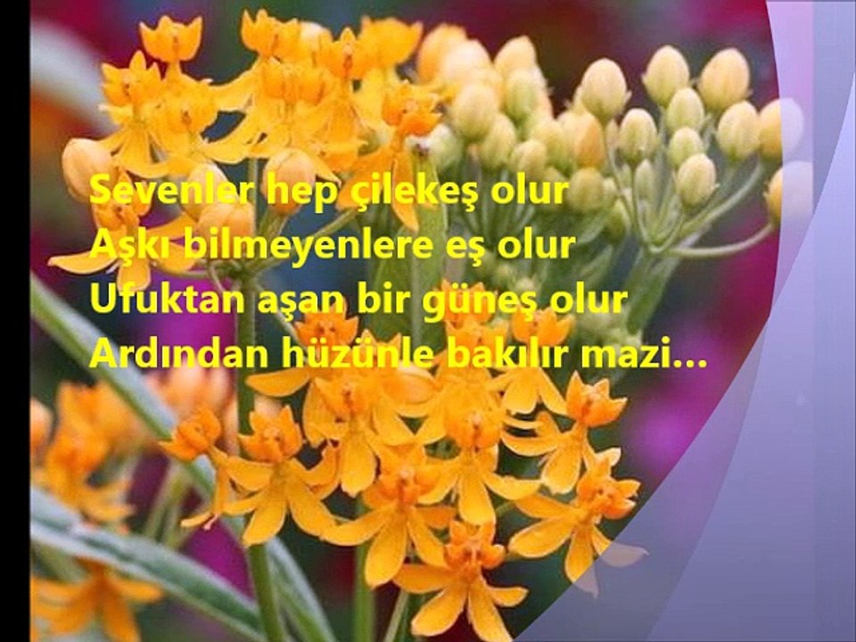 MAZİ - Dagbey Şiirleri (Ali Dogan)