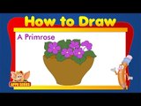 Learn to Draw Flower - Draw a Primrose