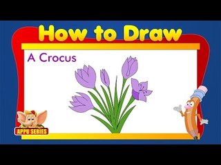 Learn to Draw Flower - Draw a Crocus