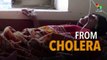 Cholera epidemic hits Yemen