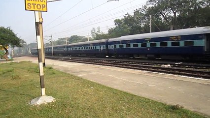 BWN WDM-2 Jumbo Vs AJJ WAG-5 HA