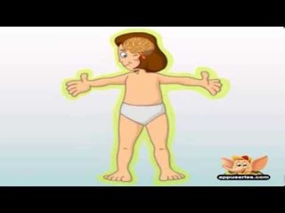 Parts of the Body - Kids Cartoon Animation Learn Series