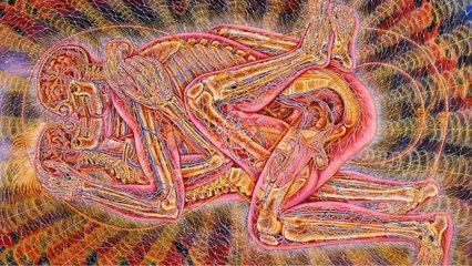 CRISTINA CAIRO - ÓRGÃOS SEXUAIS / CHACRA SEXUAL / CRIATIVIDADE