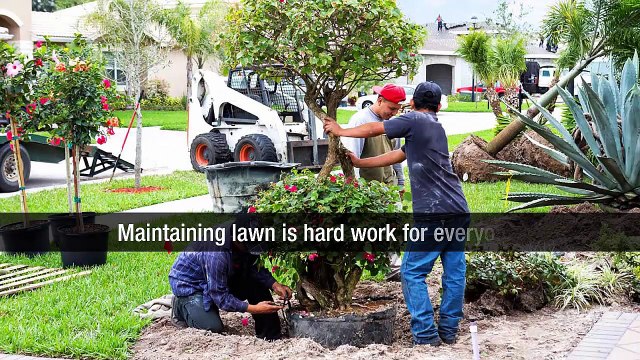 Contractors Group: Presenting Effective Earthmoving Solutions For Your Properties