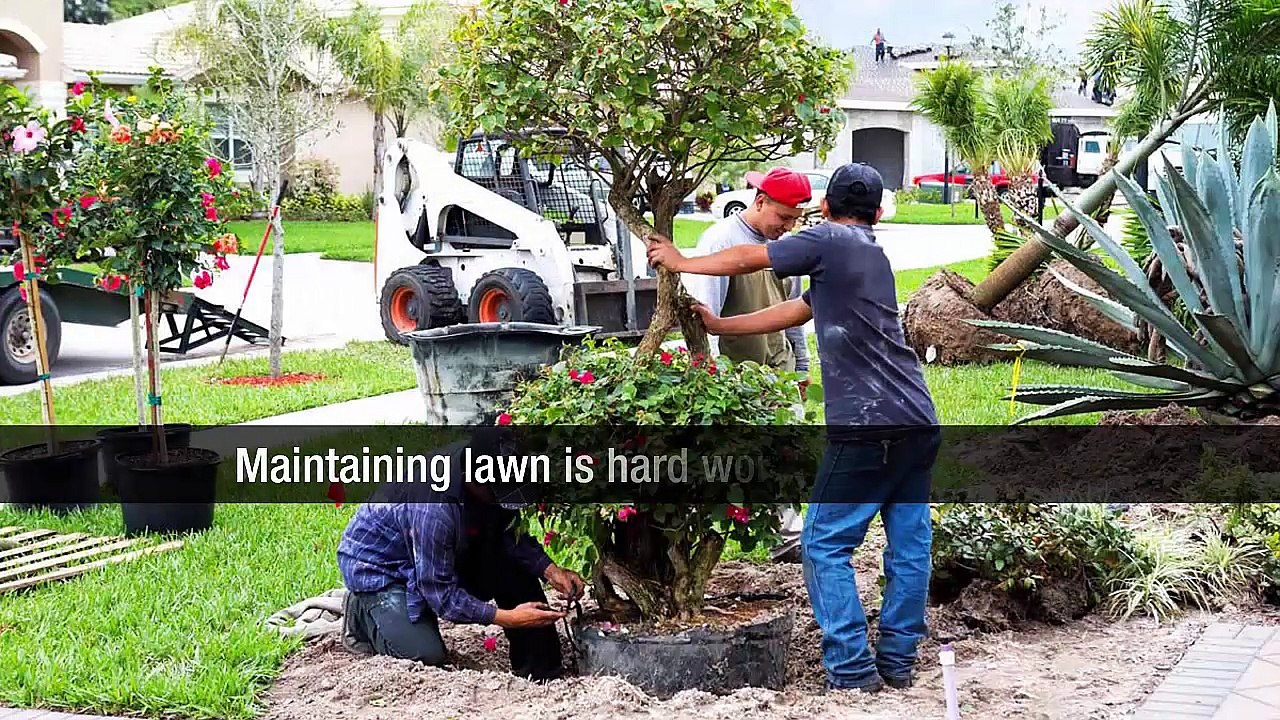 Earthmoving Solutions At Its Finest With Contractors Group