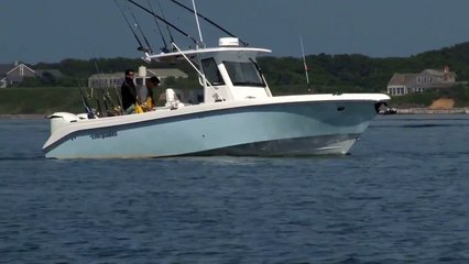 A Synthetic Motor Oil For Whatever You Drive