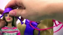 Toy For Kids-Barbie Dolls Accident- Barbie Horse ride