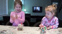 Elsa Toddler Gingerbread House Crushed! SISreviews Makes Elsa A Beautiful House & It Ge