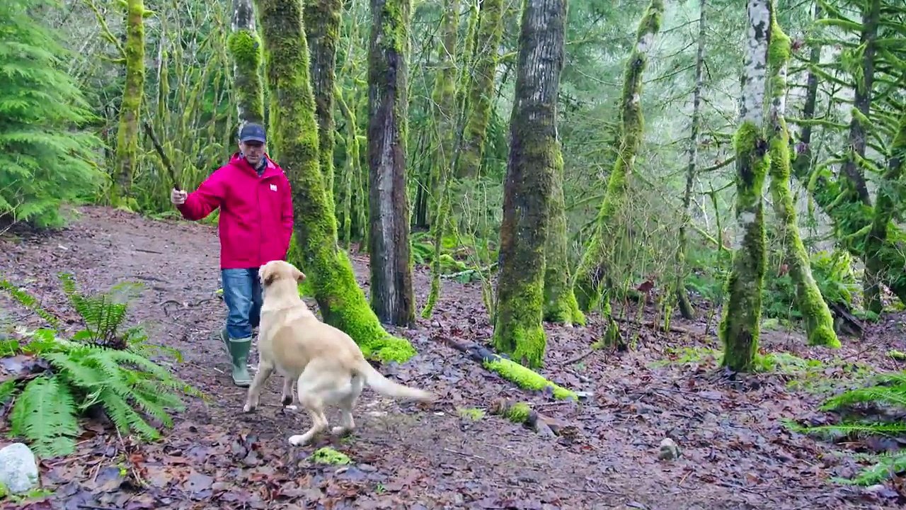 158.Helly Hansen Men_2