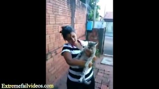 206.CAT VIDEOS ★ Comical Cats (HD) [Funny Pets]