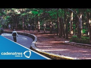 Jesús Rodríguez Almeida garantiza seguridad en Bosque de Tlalpan
