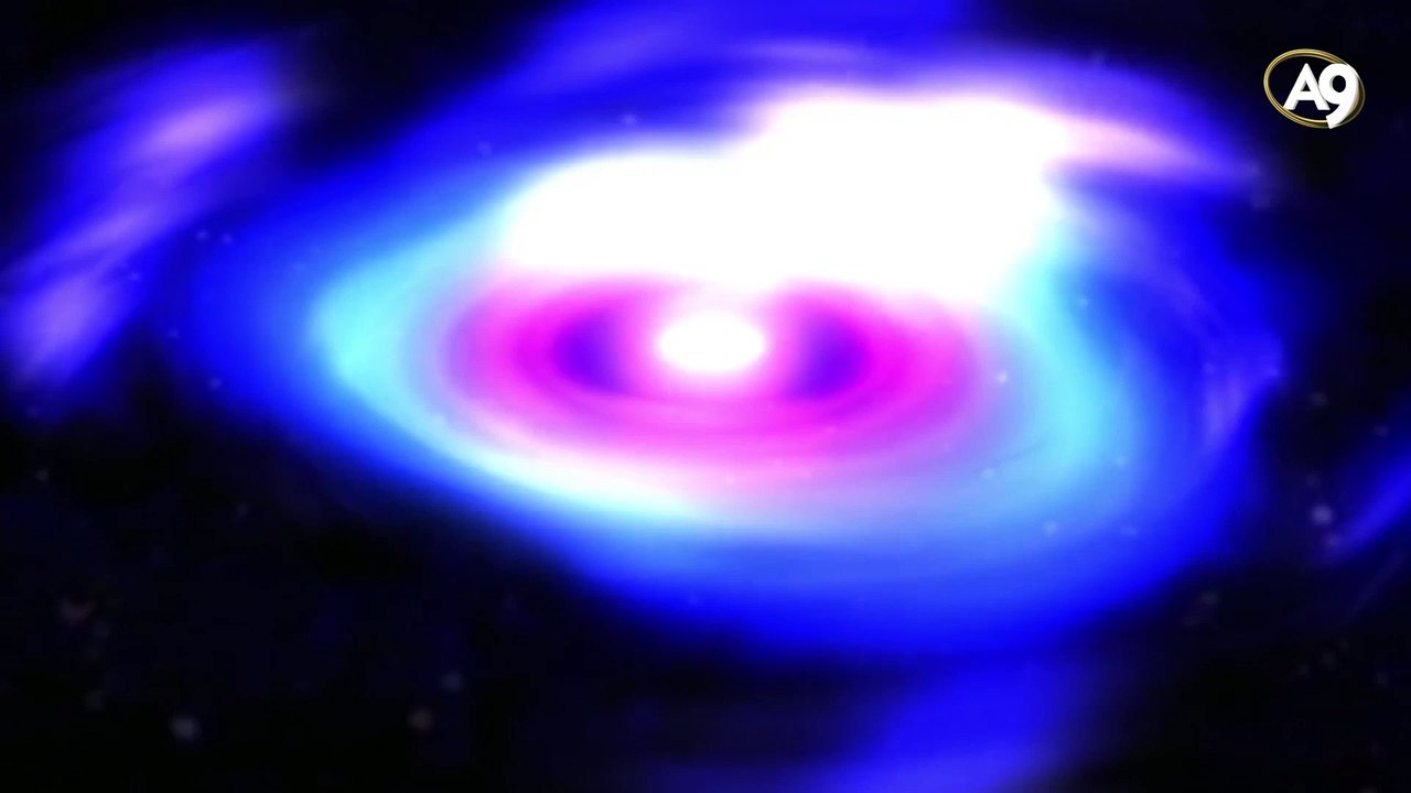 Black Holes