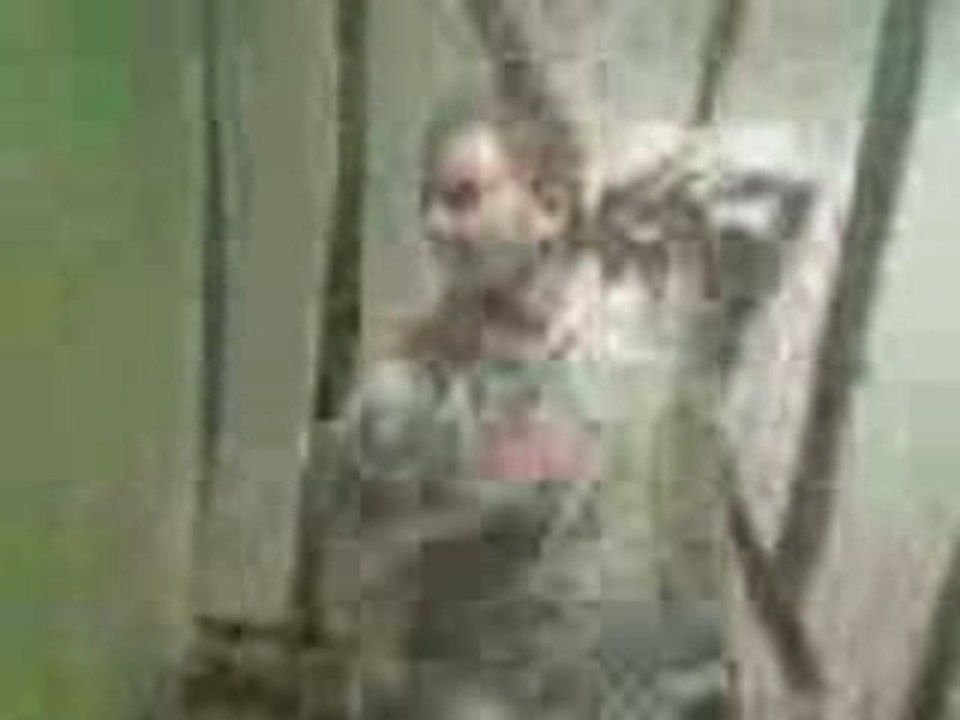 tecktonik killers du berry