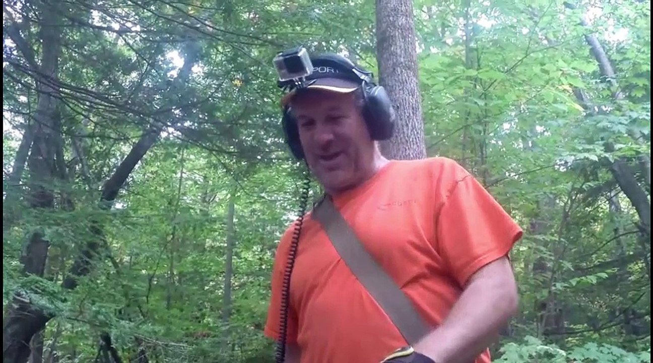 Forest Hunting