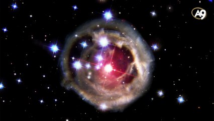 Science Discovers Creation