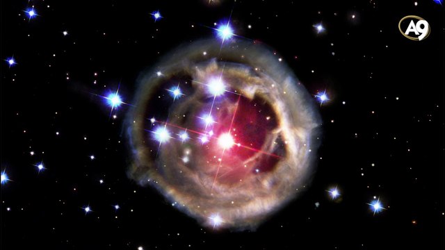 Science Discovers Creation