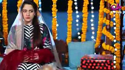 Watch Kambakht Tanno - Episode 133 - Aplus Full HD Episode  only on EntertainmentDhamal