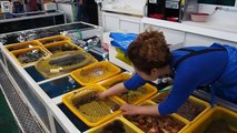 Street Foods Around The World 20 - Preparing and eating a live octopus in Korea - Street Food Market