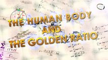 The Human Body and The Golden Ratio