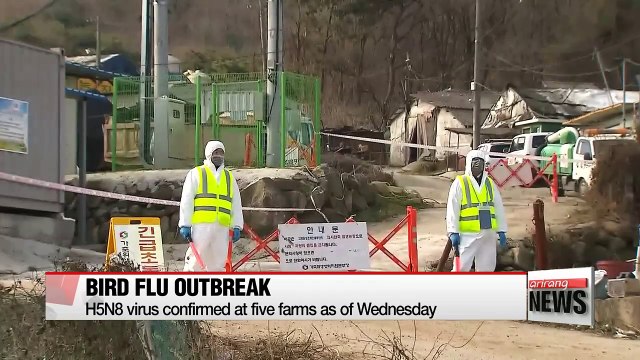 Korea imposes 24-hour ban on poultry transport amid bird flu outbreak