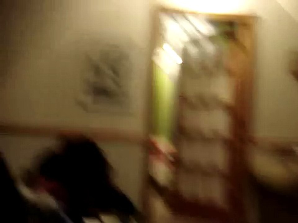 ANIMAL S FUNNIEST HOME VIDEO FT PUPPY OREO